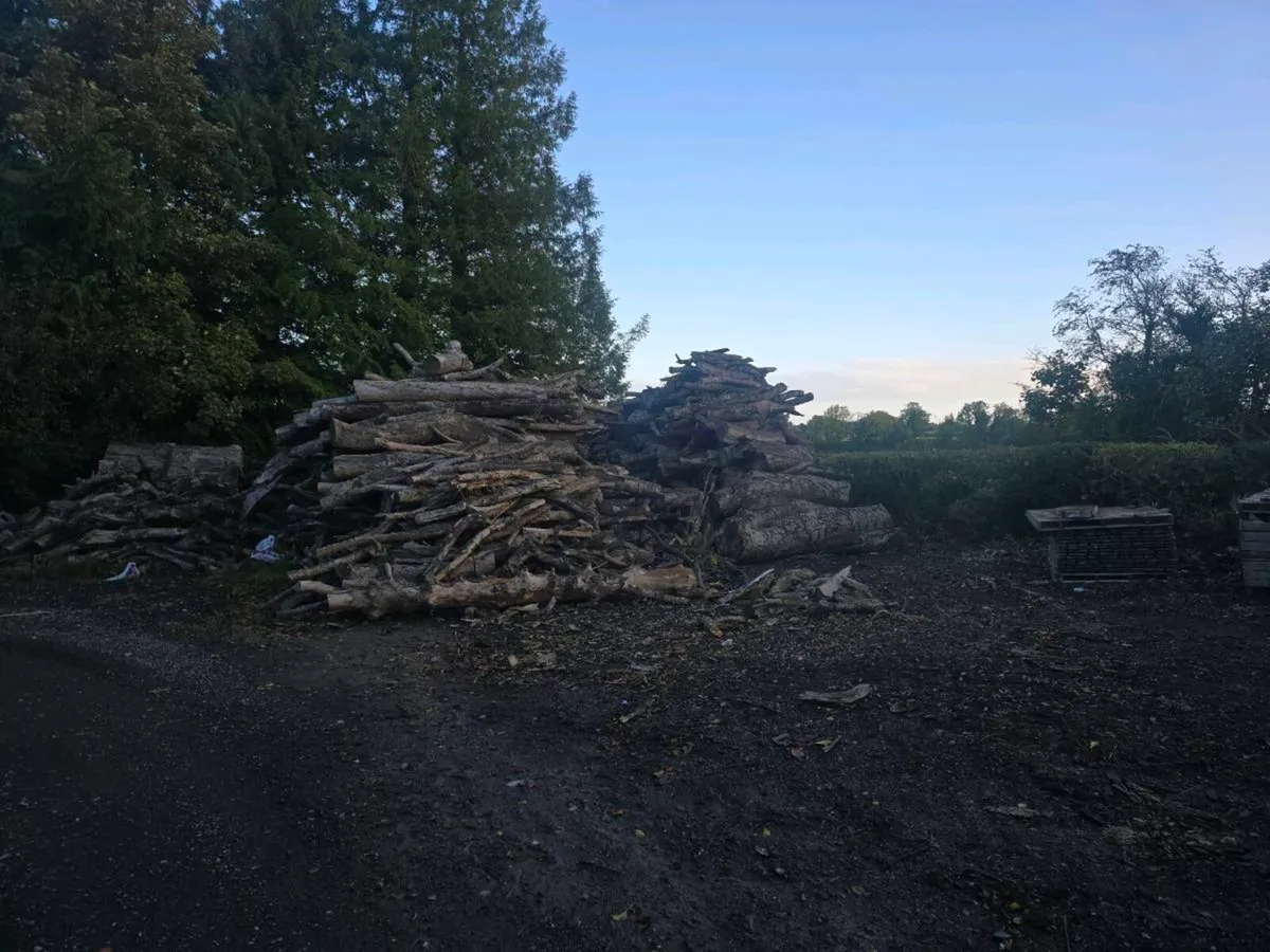 Firewood properly dried - Image 4