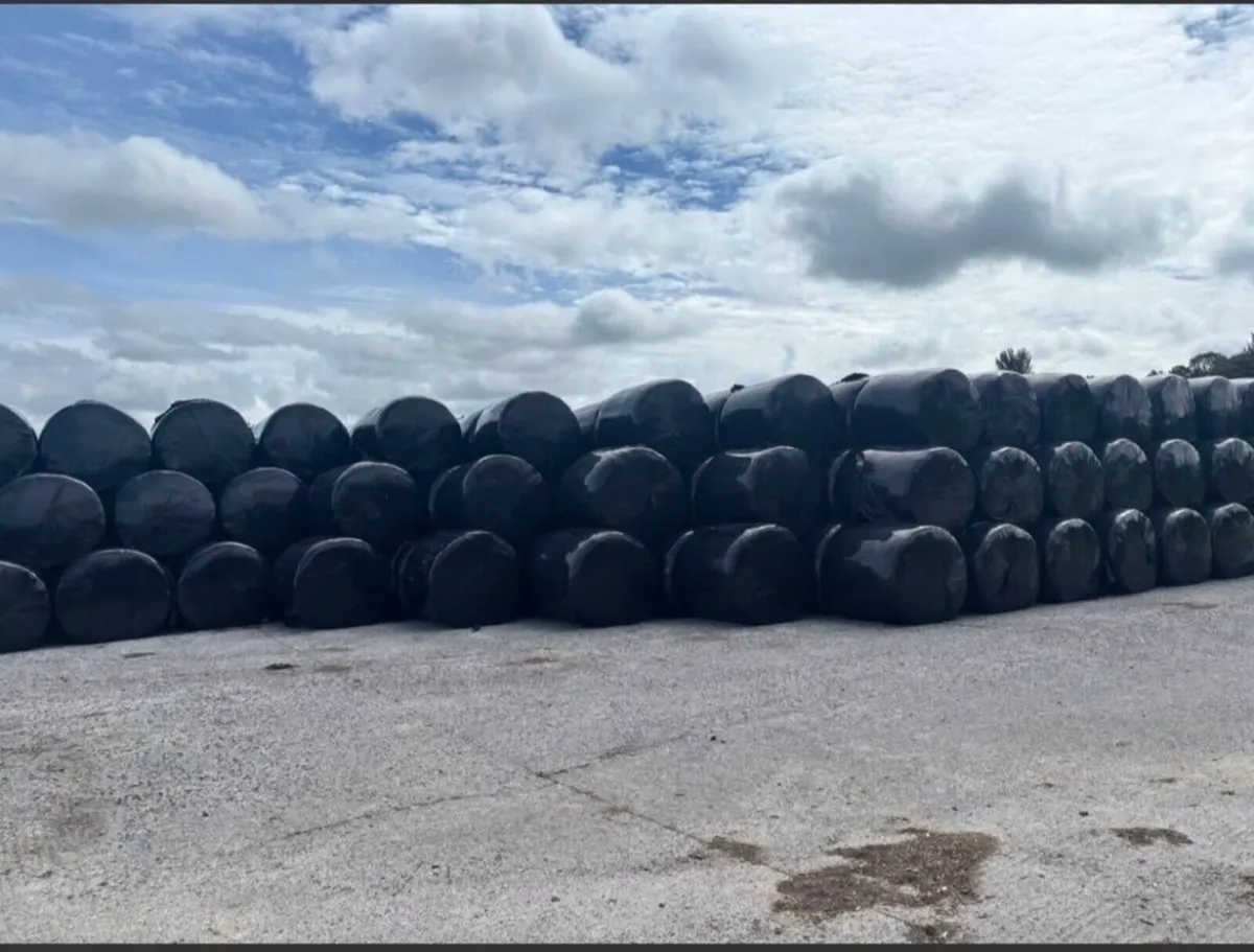 Silage Bales