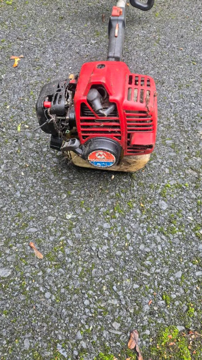 Pole Mounted Chainsaw & Hedge Trimmers - Image 2