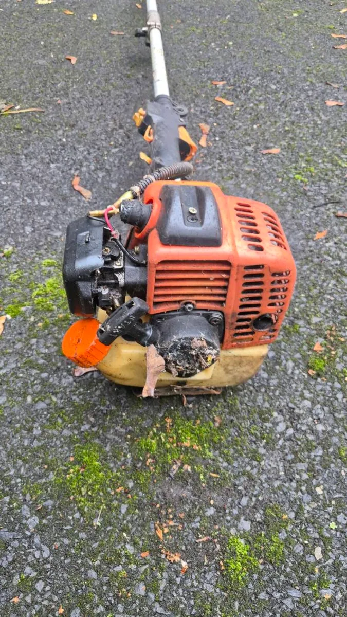 Pole Mounted Chainsaw & Hedge Trimmers - Image 3