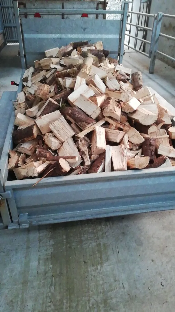 Firewood - Image 2