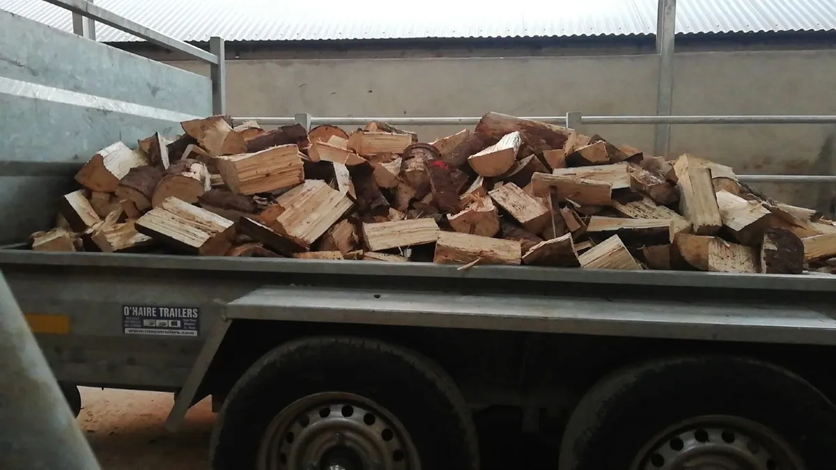 Firewood - Image 3