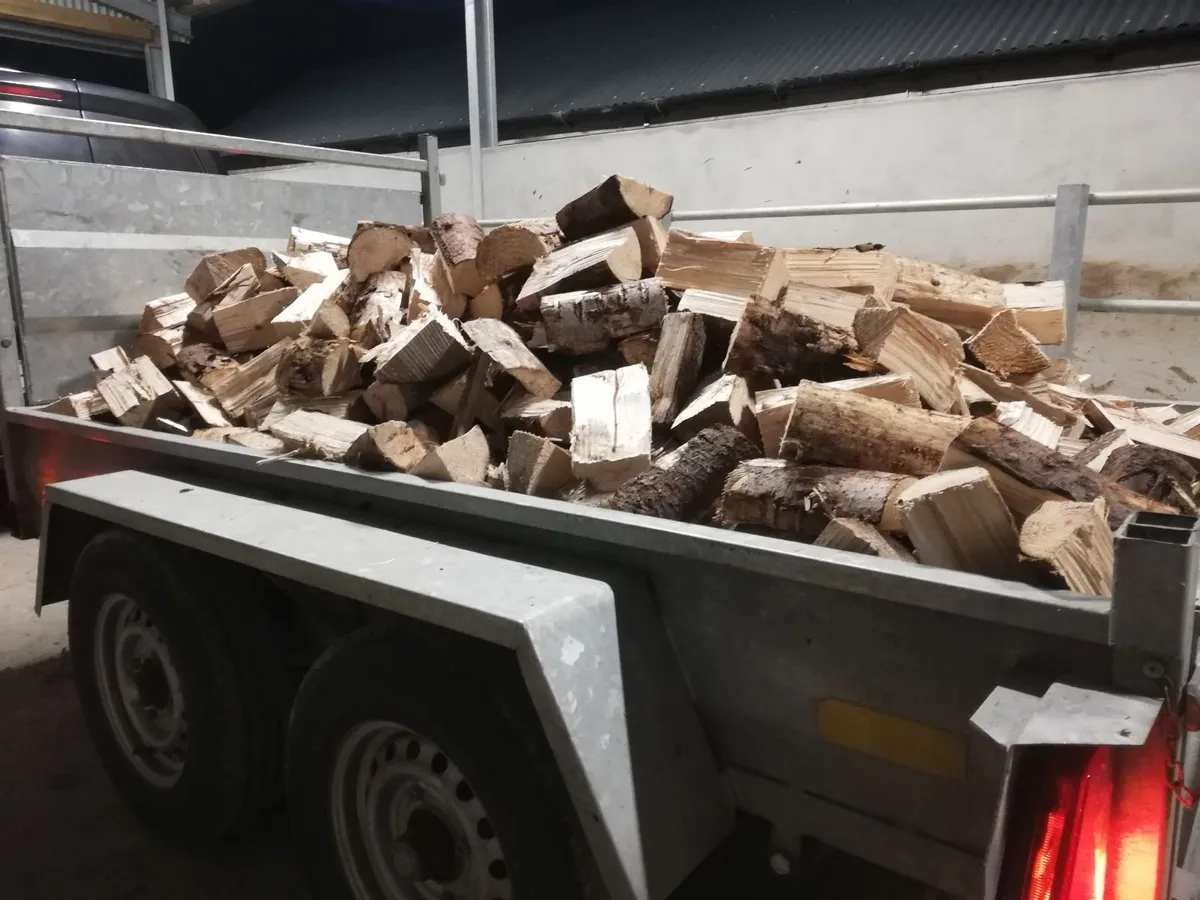 Firewood - Image 1
