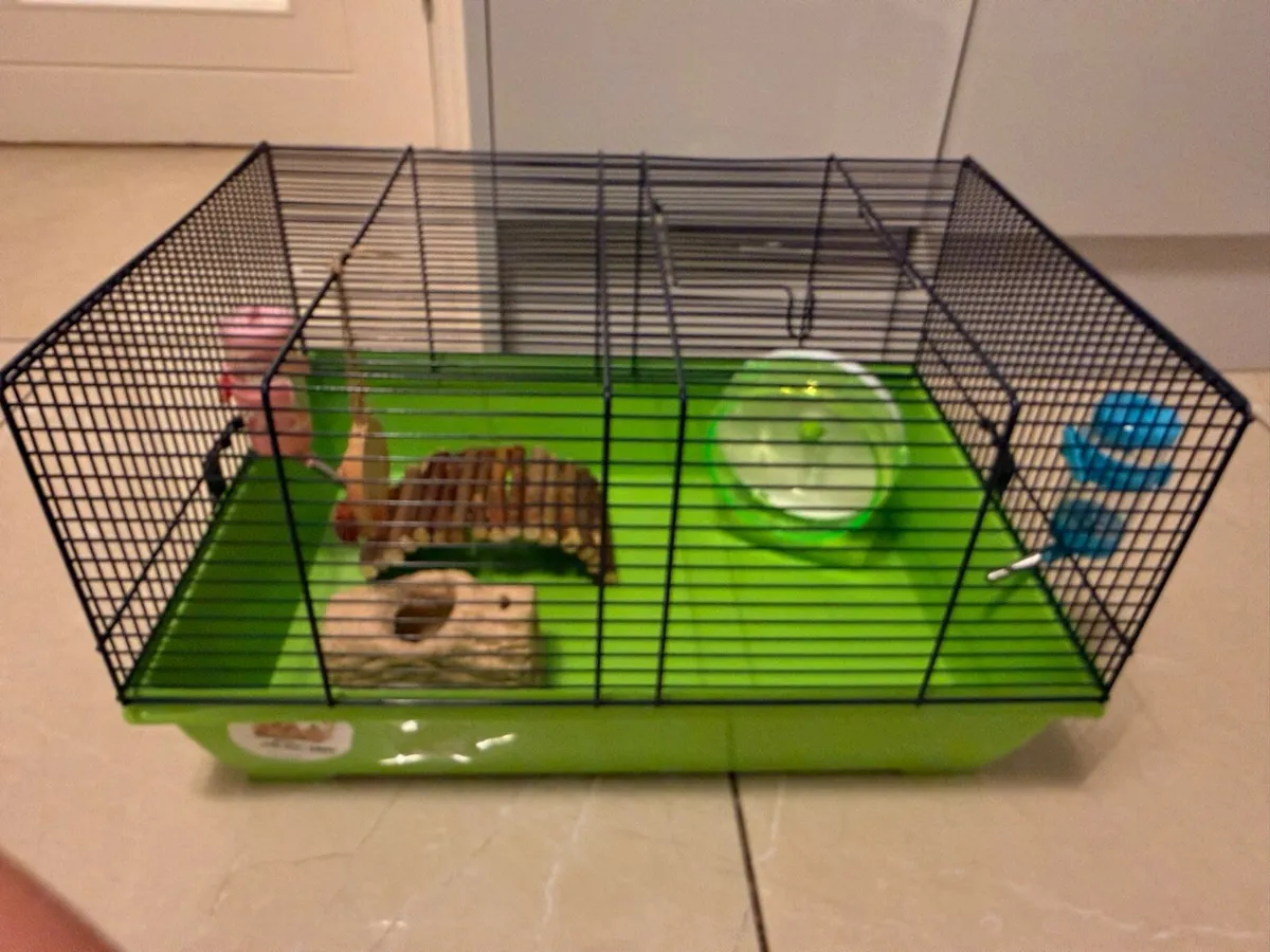 Hamster cage - Image 2