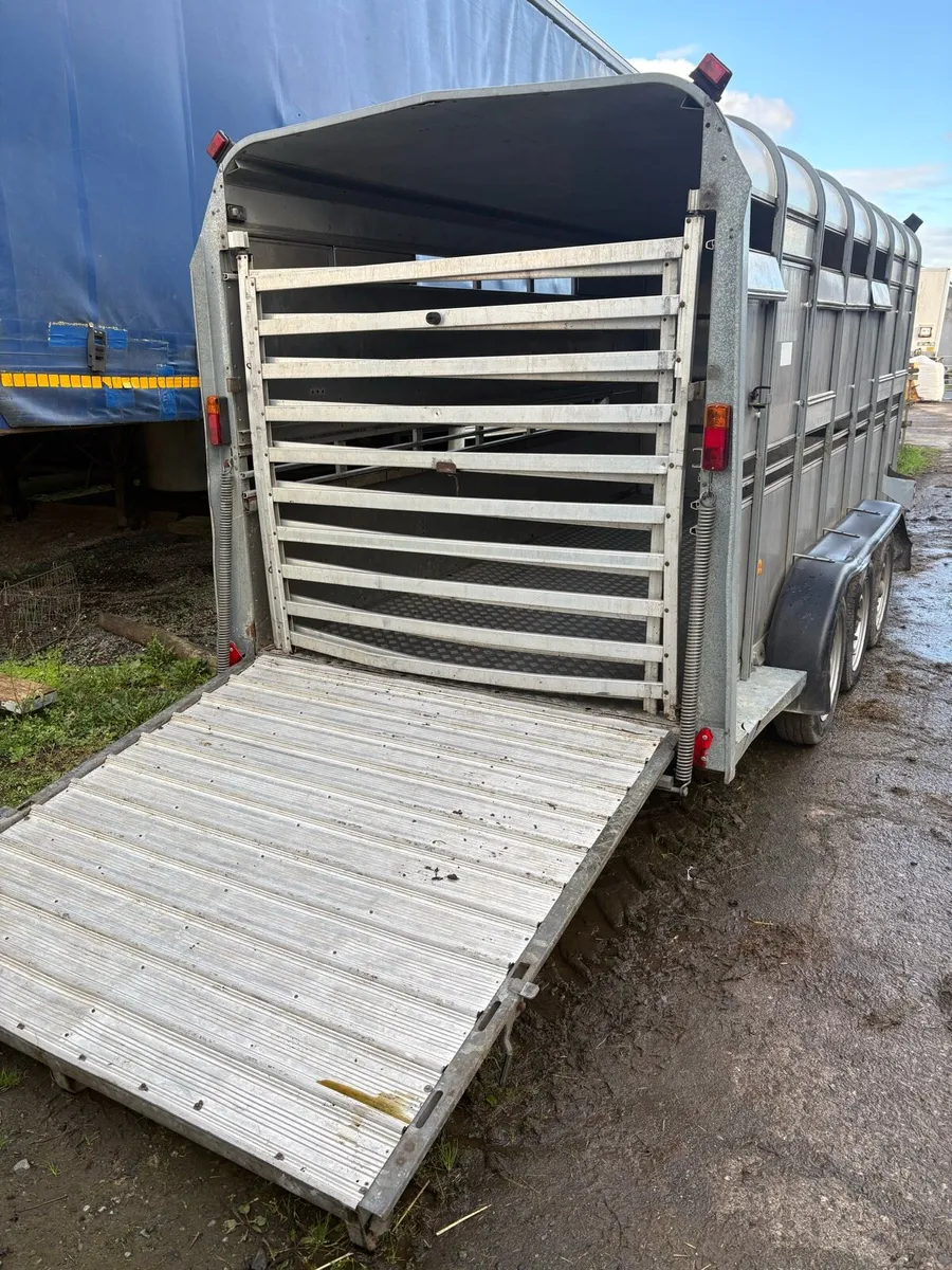 Ifor Williams 14ft tri axle - Image 2