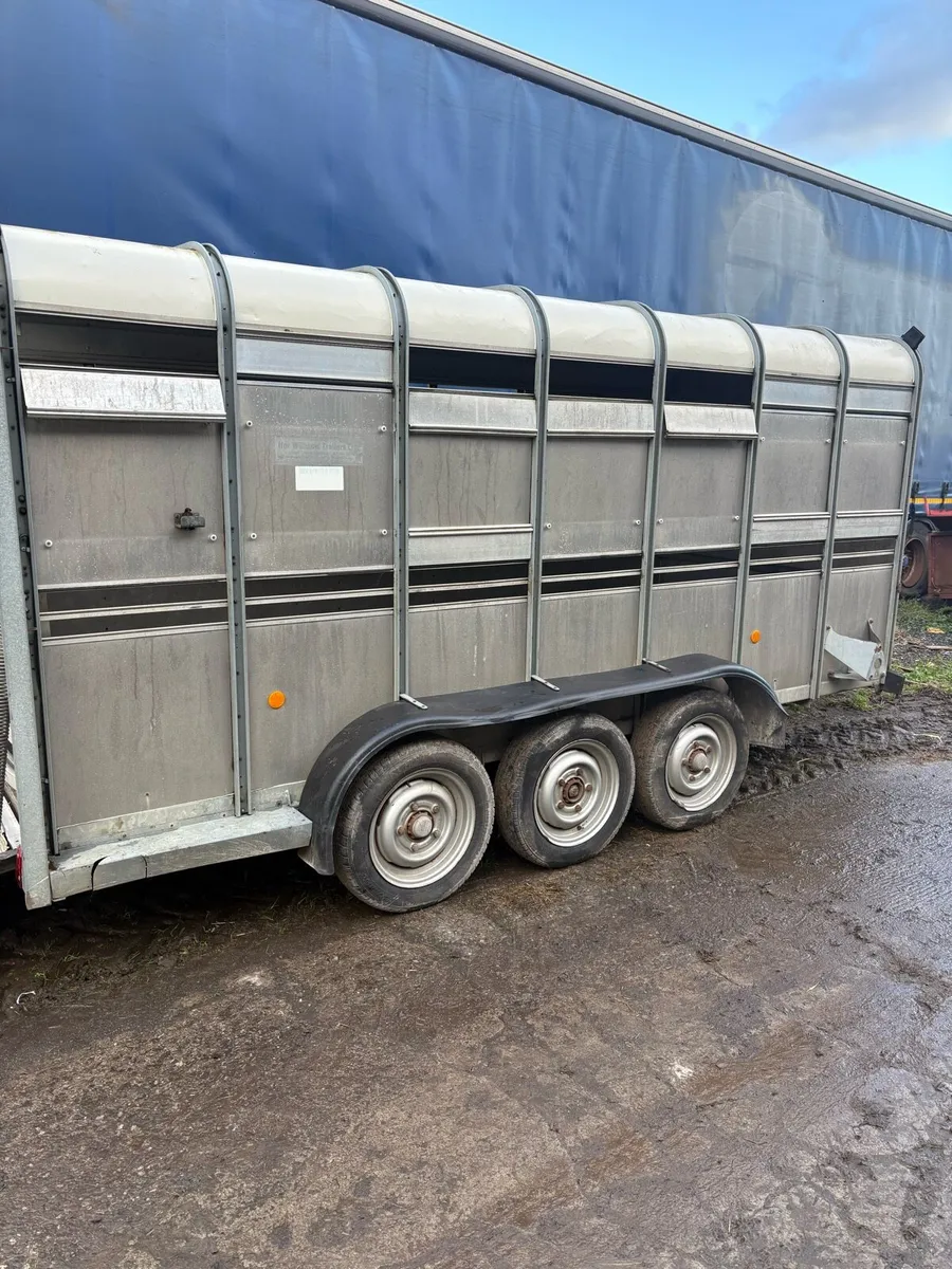 Ifor Williams 14ft tri axle - Image 3