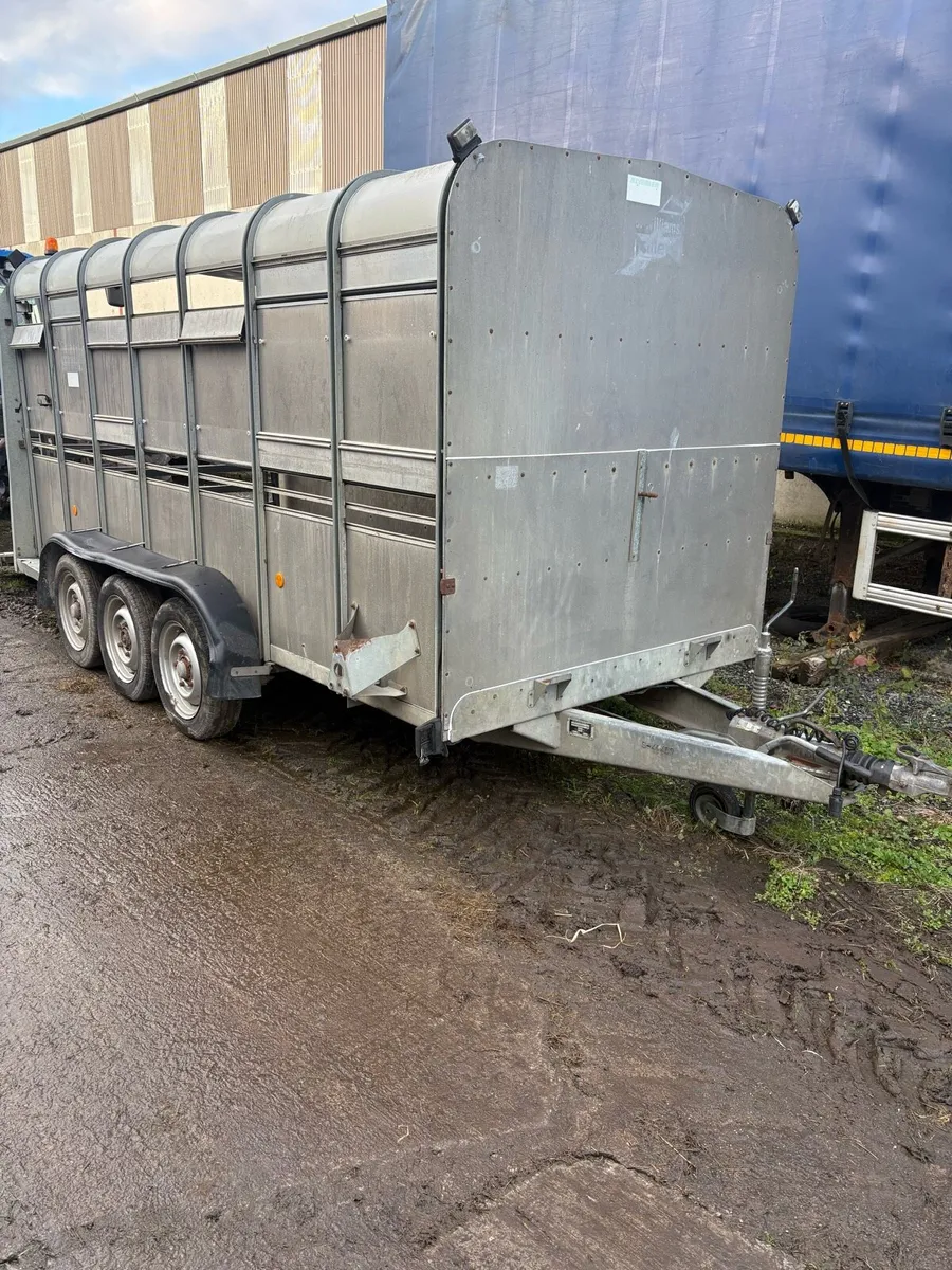 Ifor Williams 14ft tri axle - Image 4