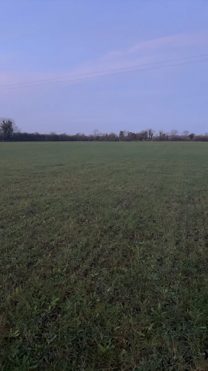 Grazing