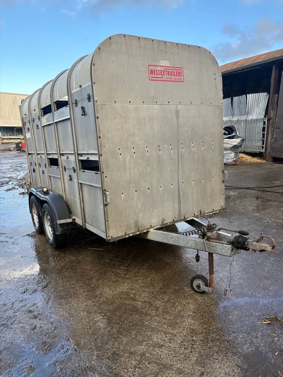 WESSEX sheep and cattle trailer - Image 1