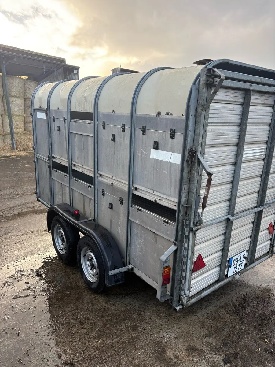 WESSEX sheep and cattle trailer - Image 3