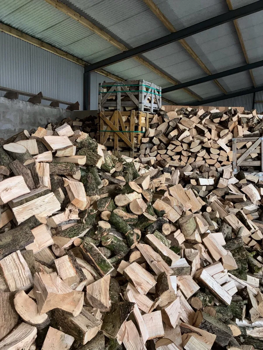 Ash firewood - Image 1