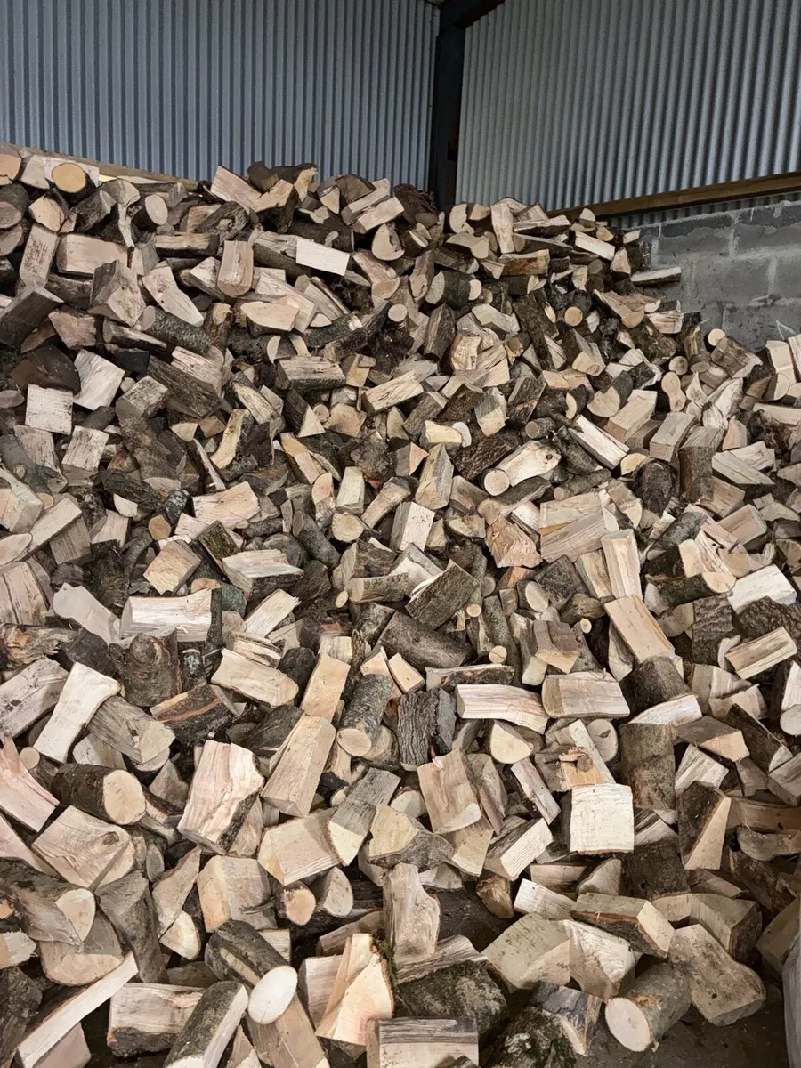 Ash firewood - Image 2