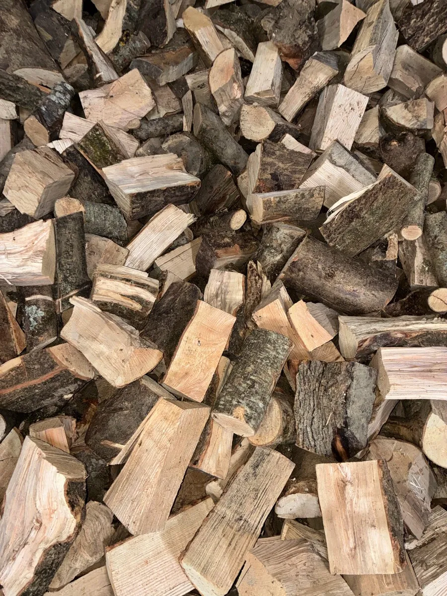 Ash firewood - Image 3
