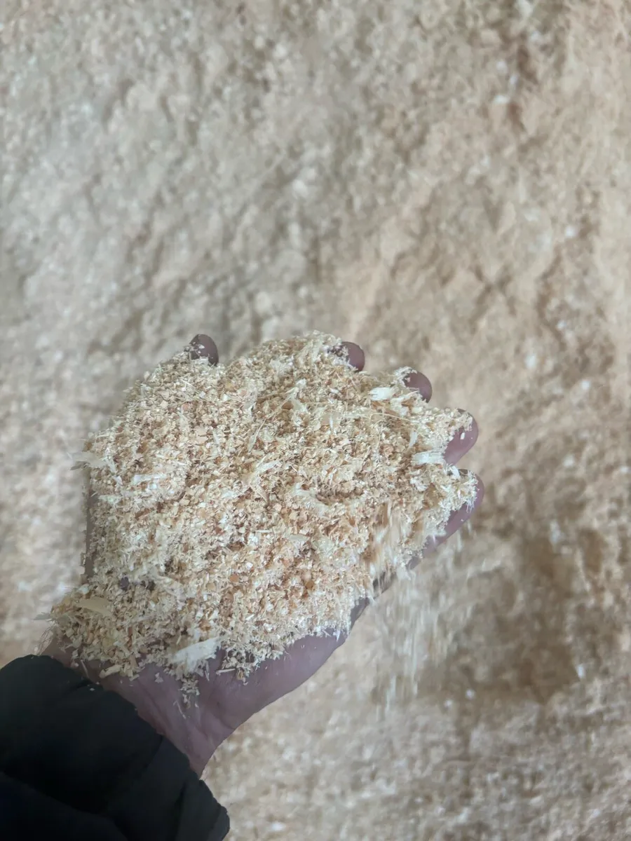 Bulk Jumbo Bags of White Sawdust Artic Loads - Image 4