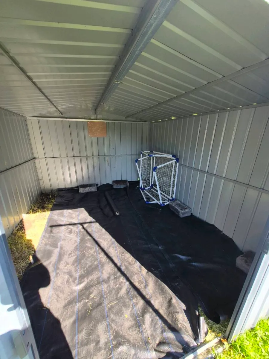 10x12 Metal Shed #sold pending collection# - Image 2