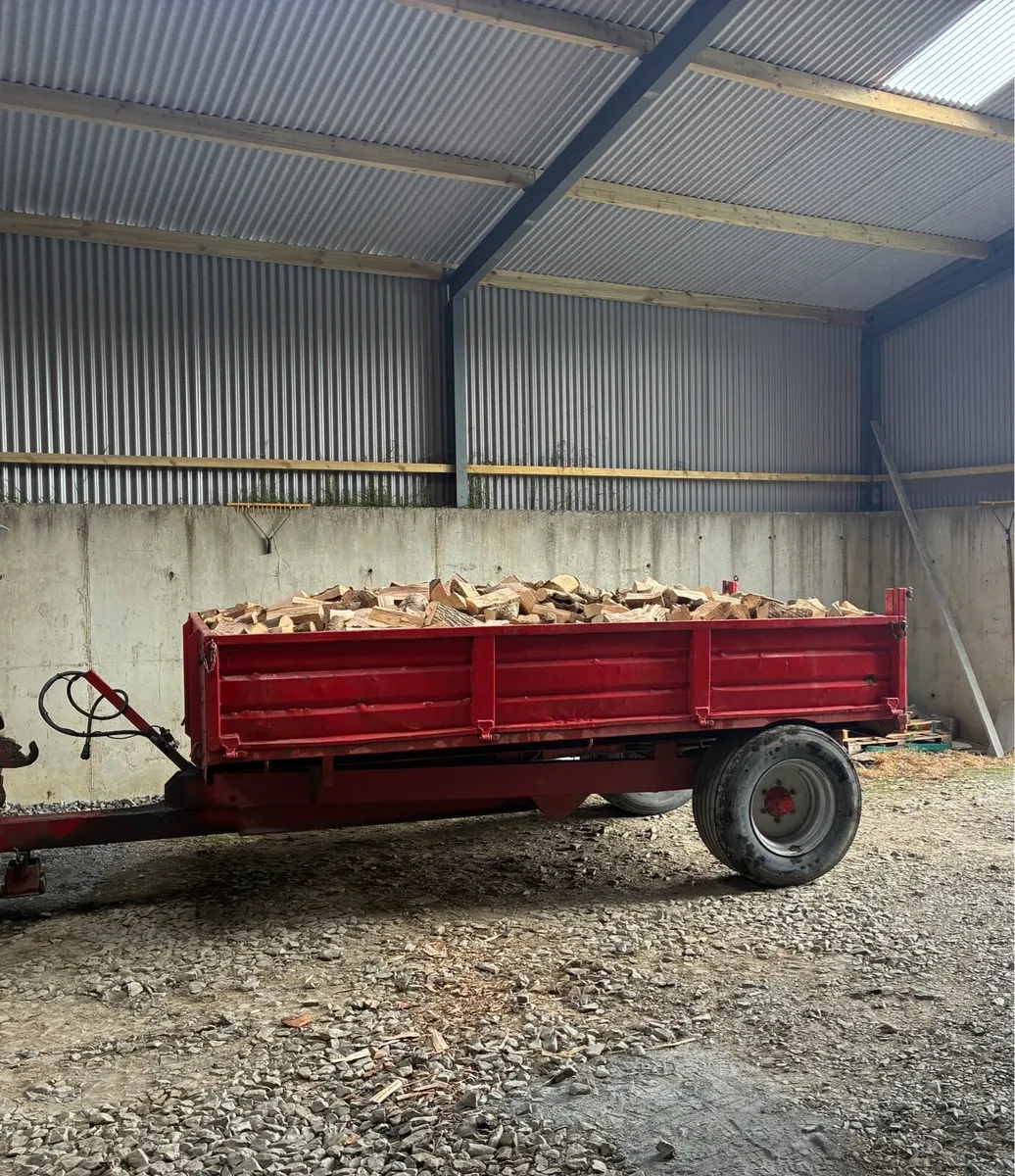 Ash firewood - Image 4