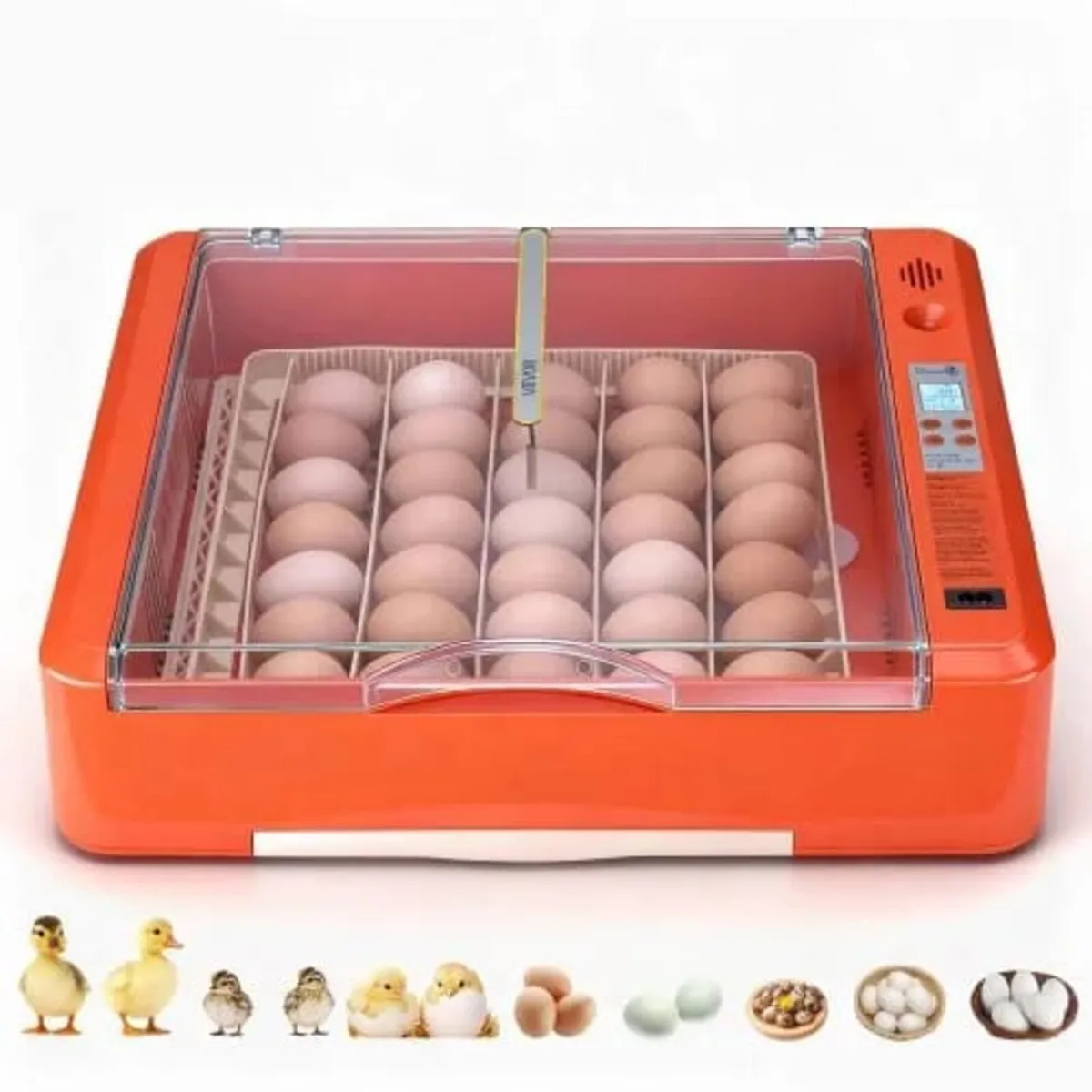 36 Egg Incubator, Automatic Egg Turner with LED Ca - Image 1