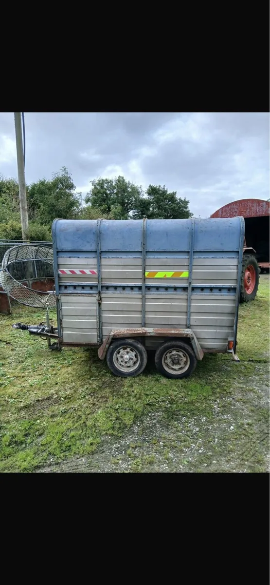 Cattle Cowbox / Livestock Trailer for Sale - Image 4