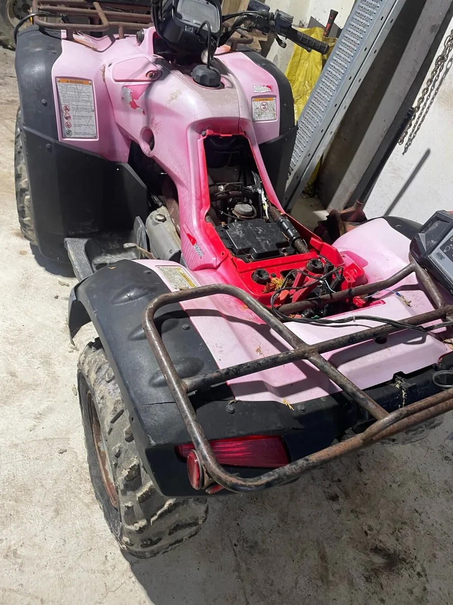 Honda Trx 350 - Image 2