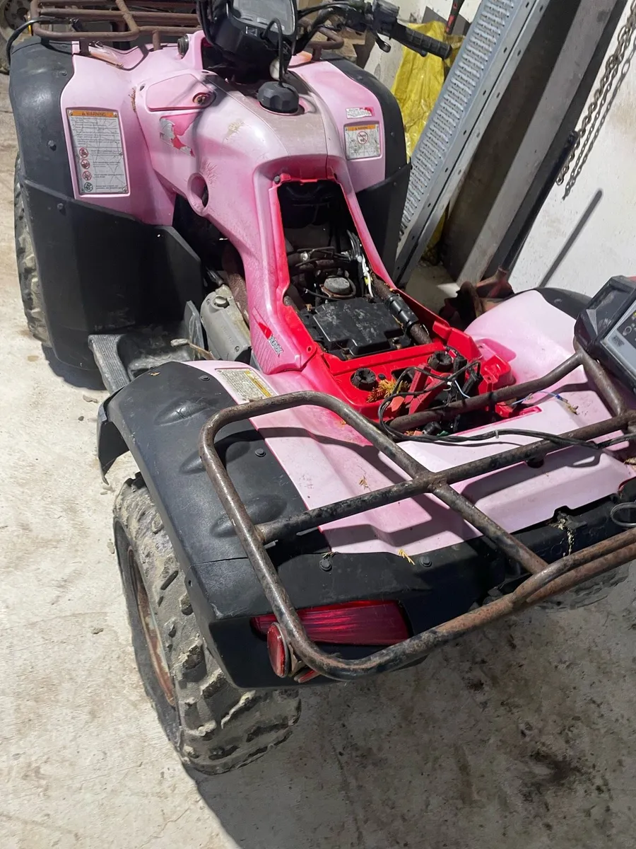 Honda Trx 350 - Image 3