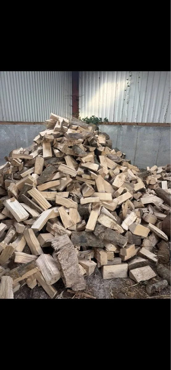 Hardwood Firewood Logs - Image 3