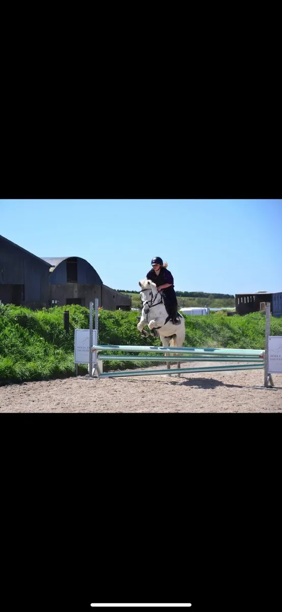 14.1 pony - Image 1