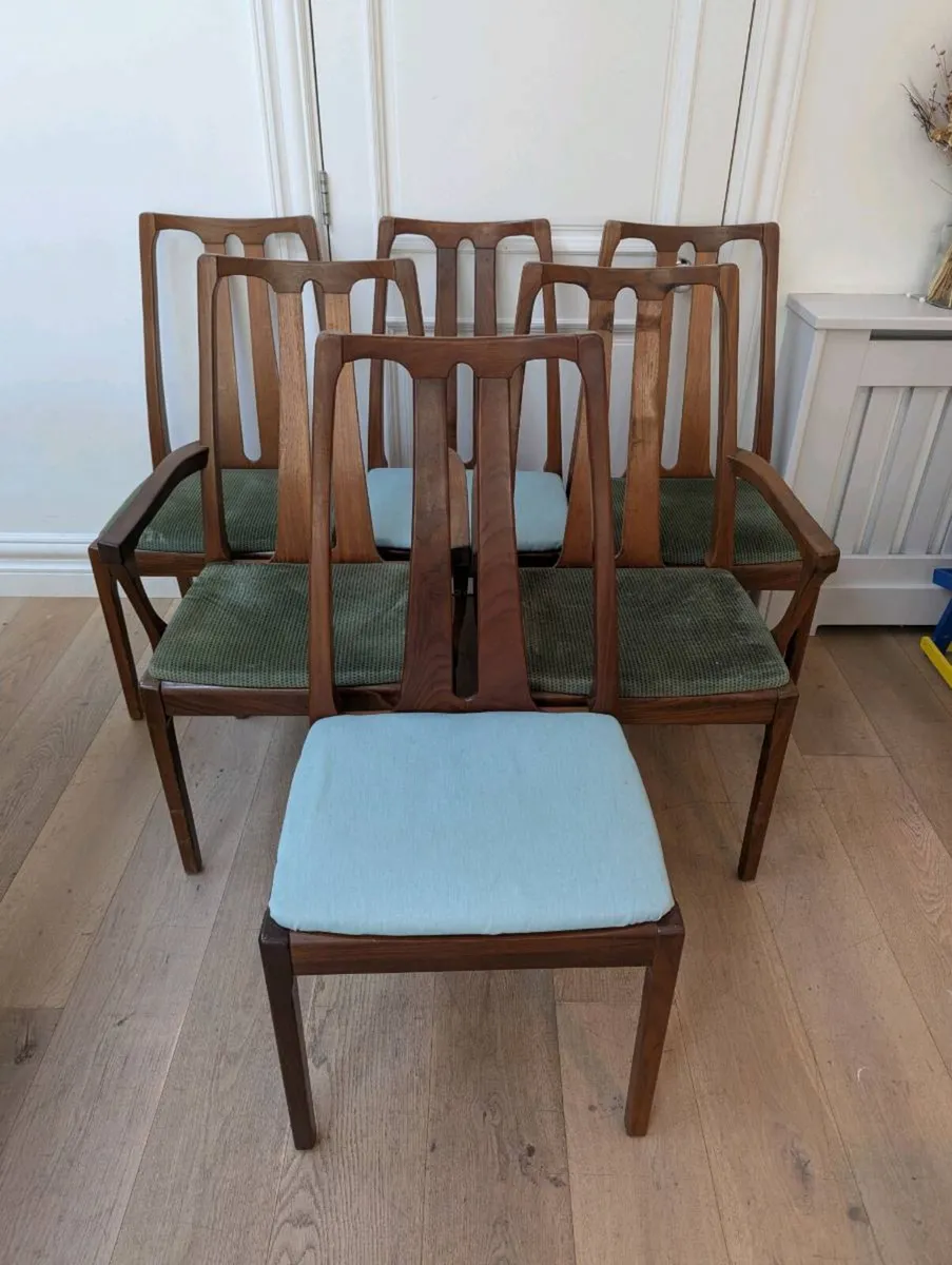 Mid Century Dining Chairs - Image 1