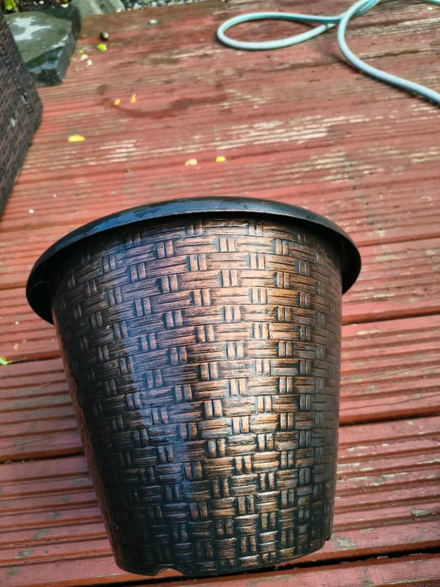 pots - Image 4