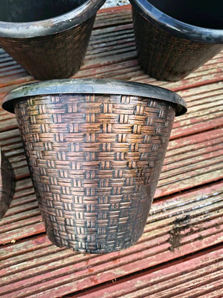 pots - Image 2