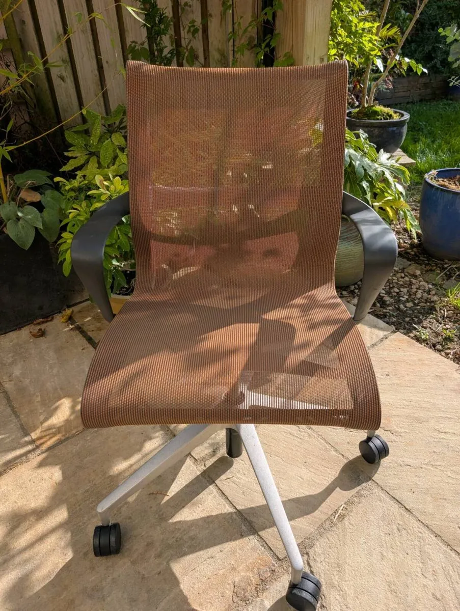 Ergonomic office chair - Image 1