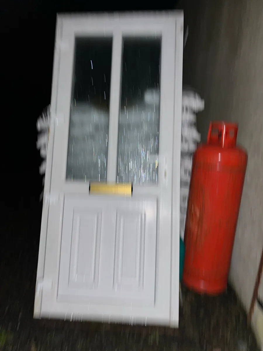 PVC door - Image 1