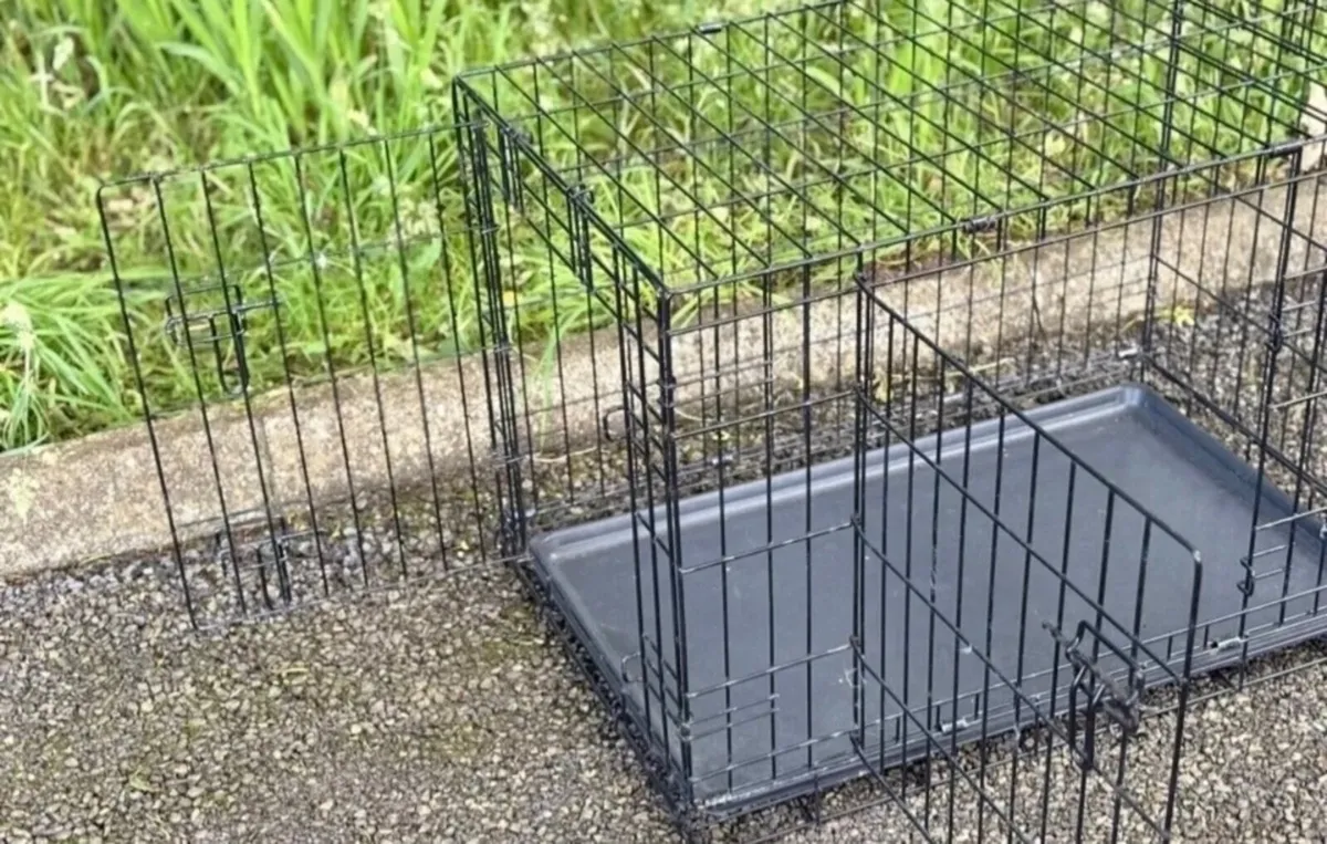 Cat / dog carrier Large - Image 2