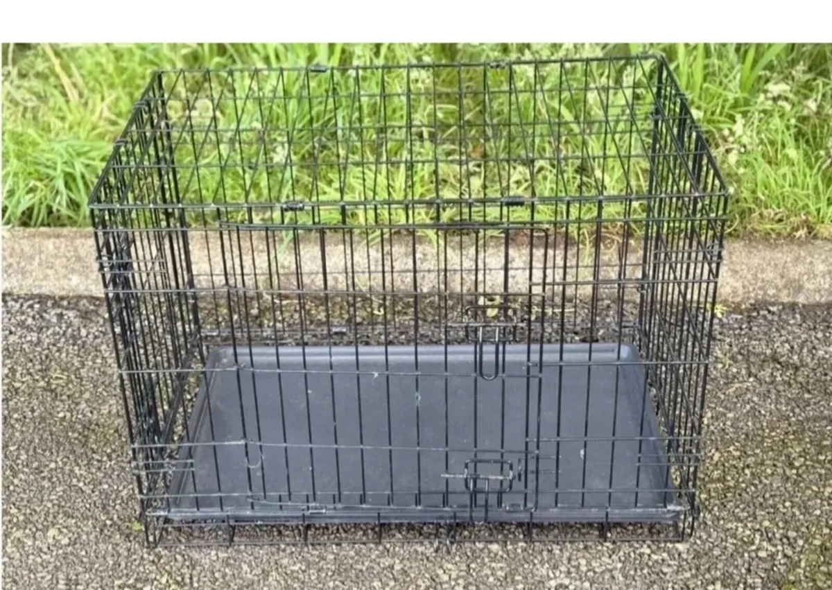 Cat / dog carrier Large - Image 4
