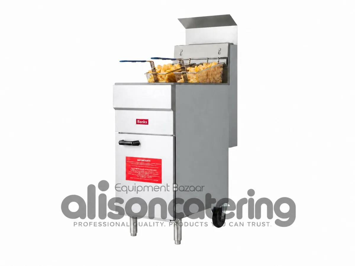 Banks 4 Burner Gas Fryer – LPG or Natural Gas - Image 1