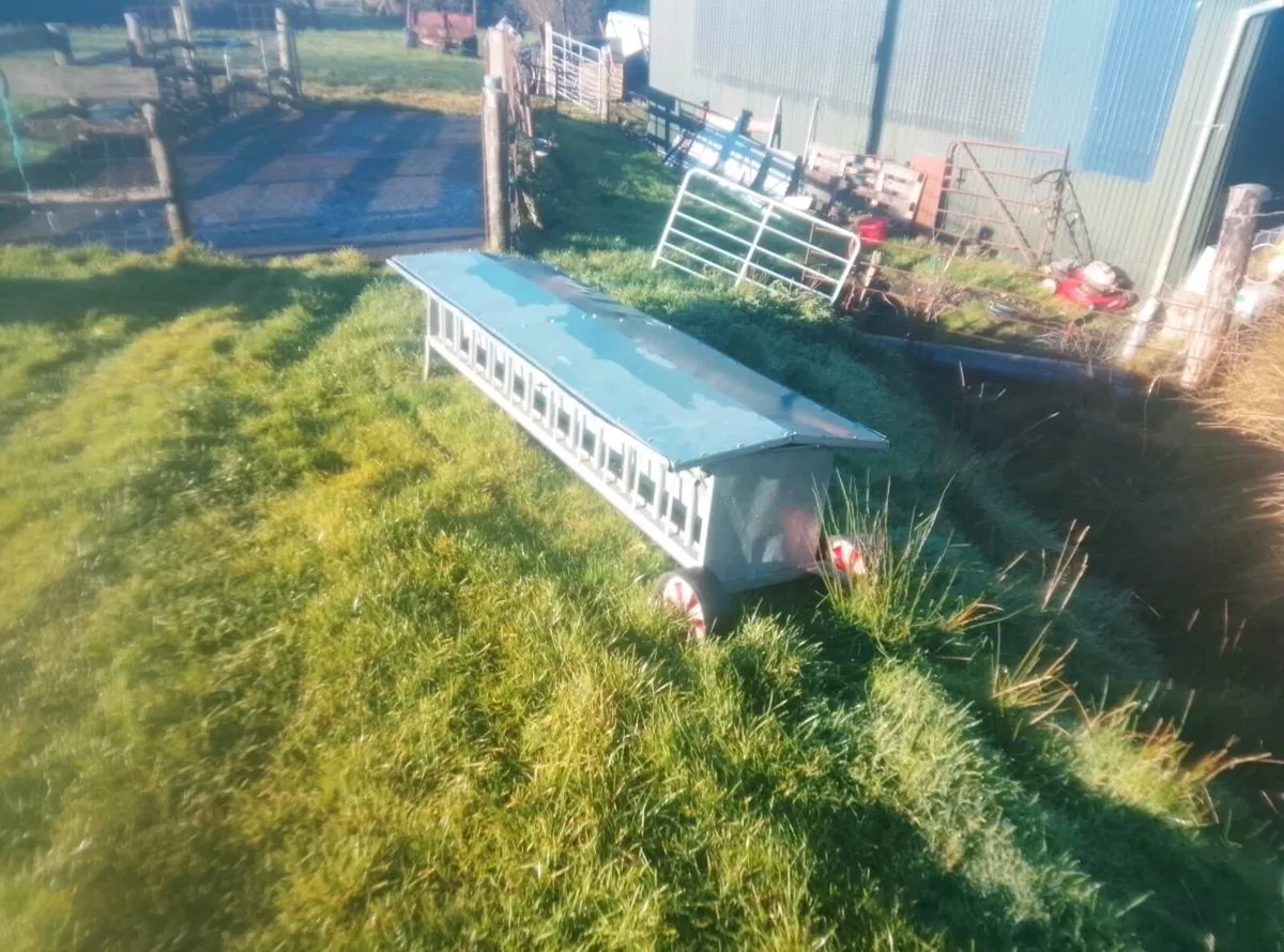 Sheep feeders - Image 2