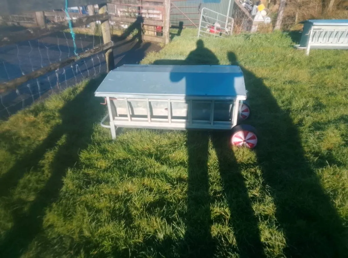 Sheep feeders - Image 3