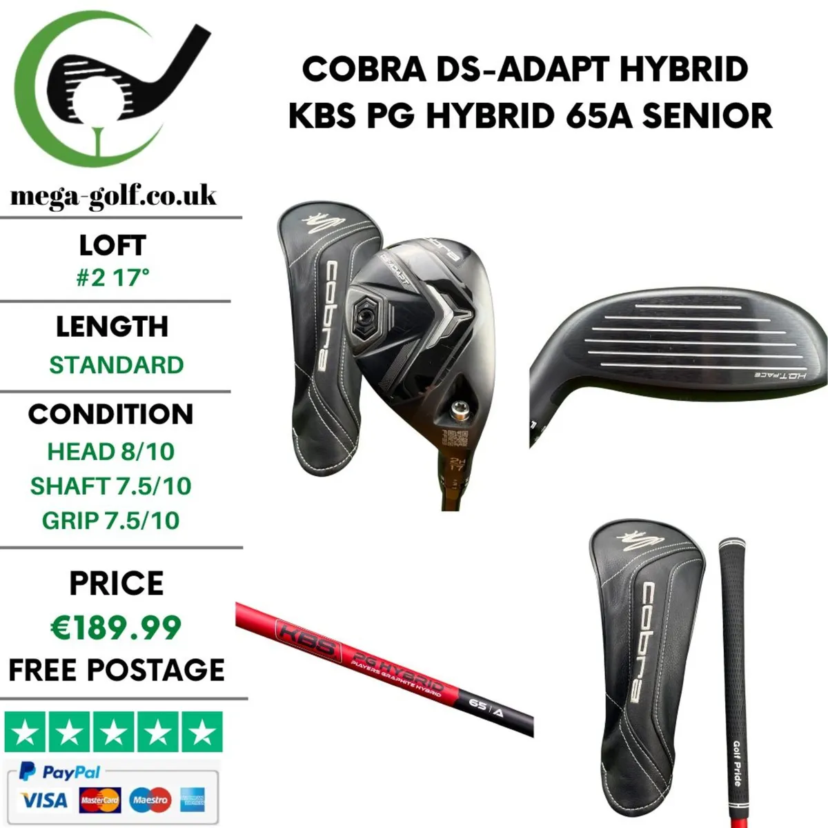 Cobra DS-Adapt Hybrid / #2 17° / Senior - Image 1
