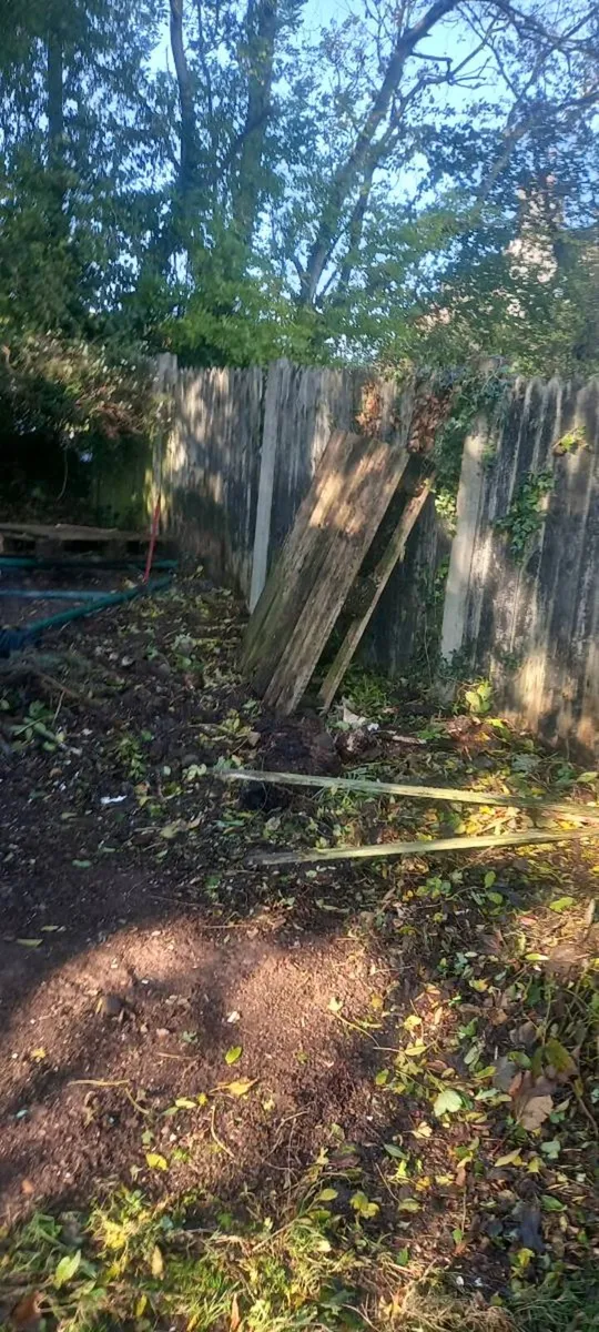 Wood - Image 1