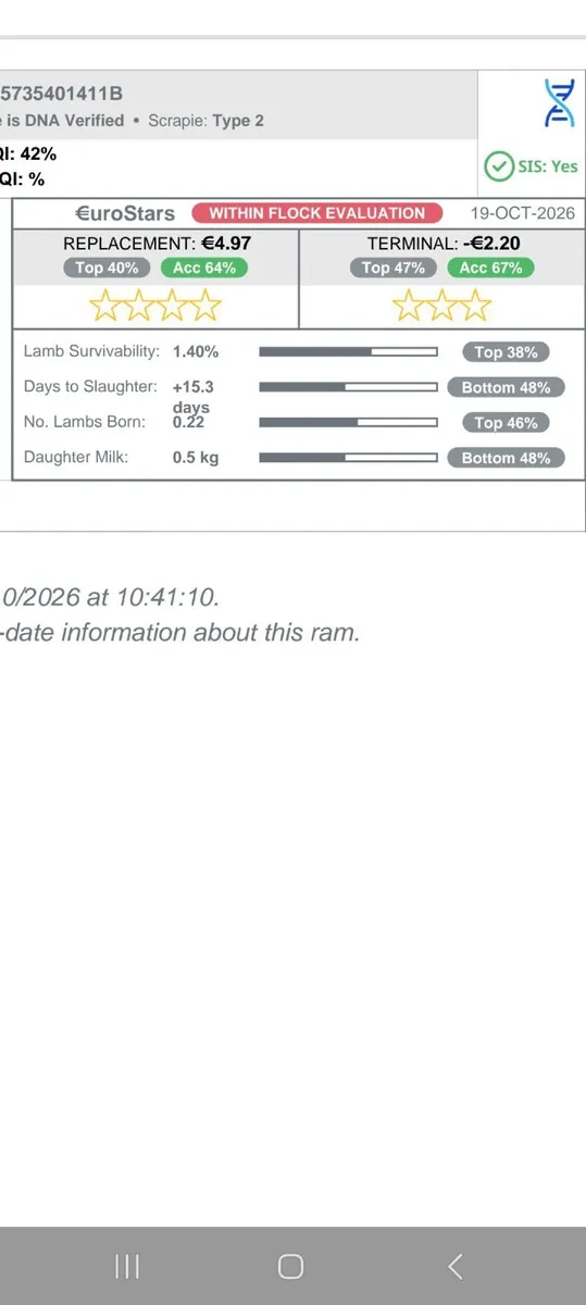 PBR sis approved ram lamb - Image 4