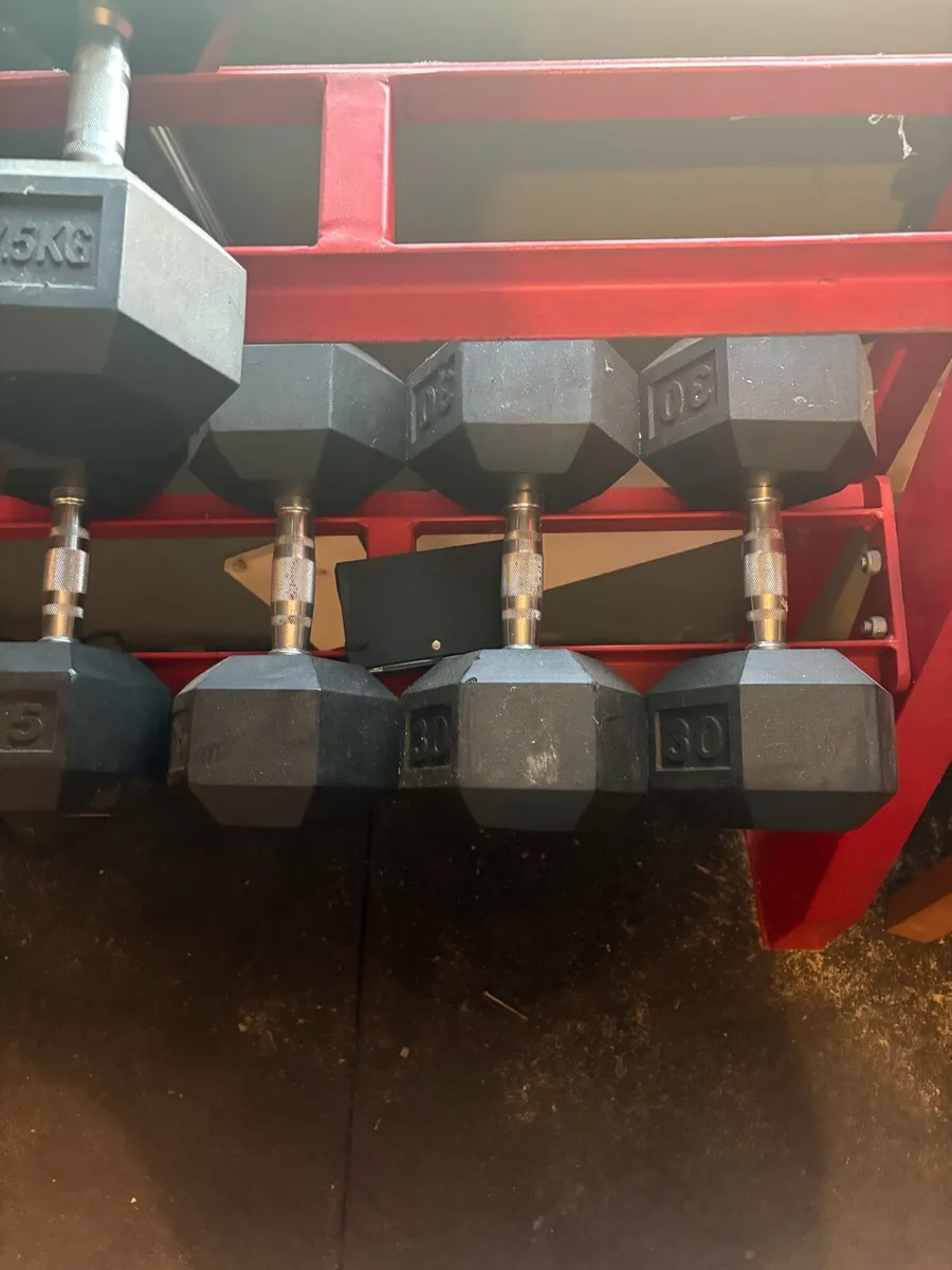 Dumbbell rack + Dumbells + Gym Flooring - Image 2
