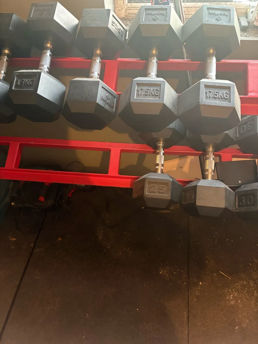 Dumbbell rack + Dumbells + Gym Flooring - Image 3