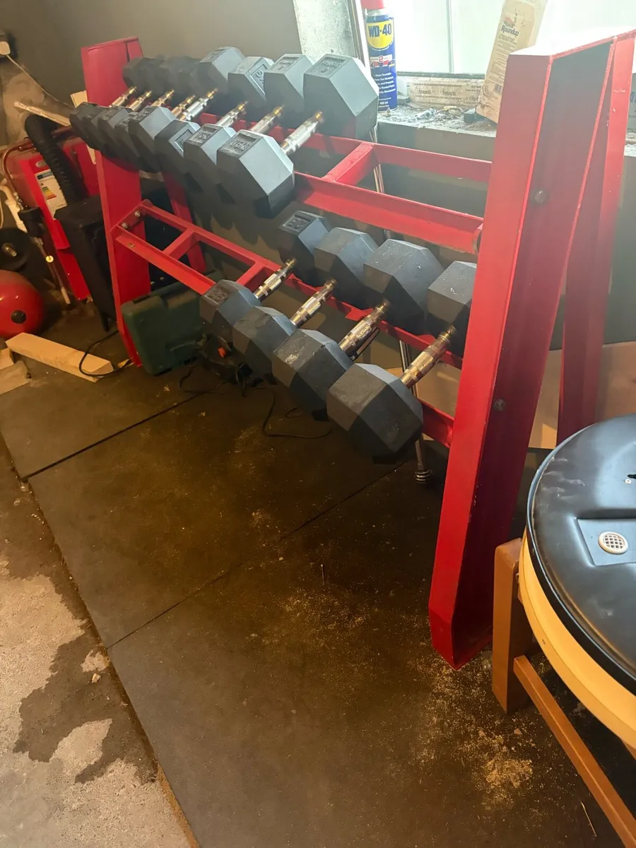 Dumbbell rack + Dumbells + Gym Flooring - Image 1