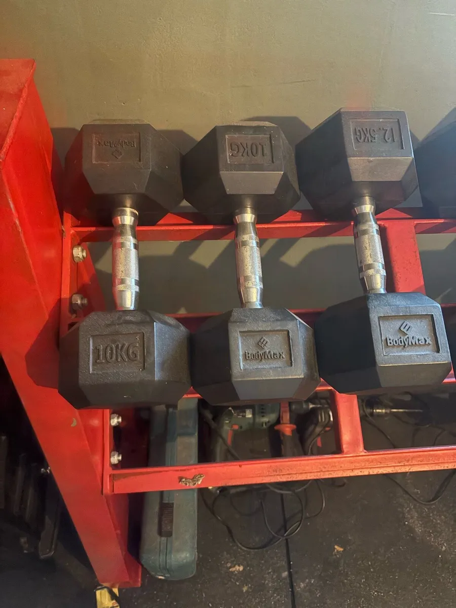 Dumbbell rack + Dumbells + Gym Flooring - Image 4