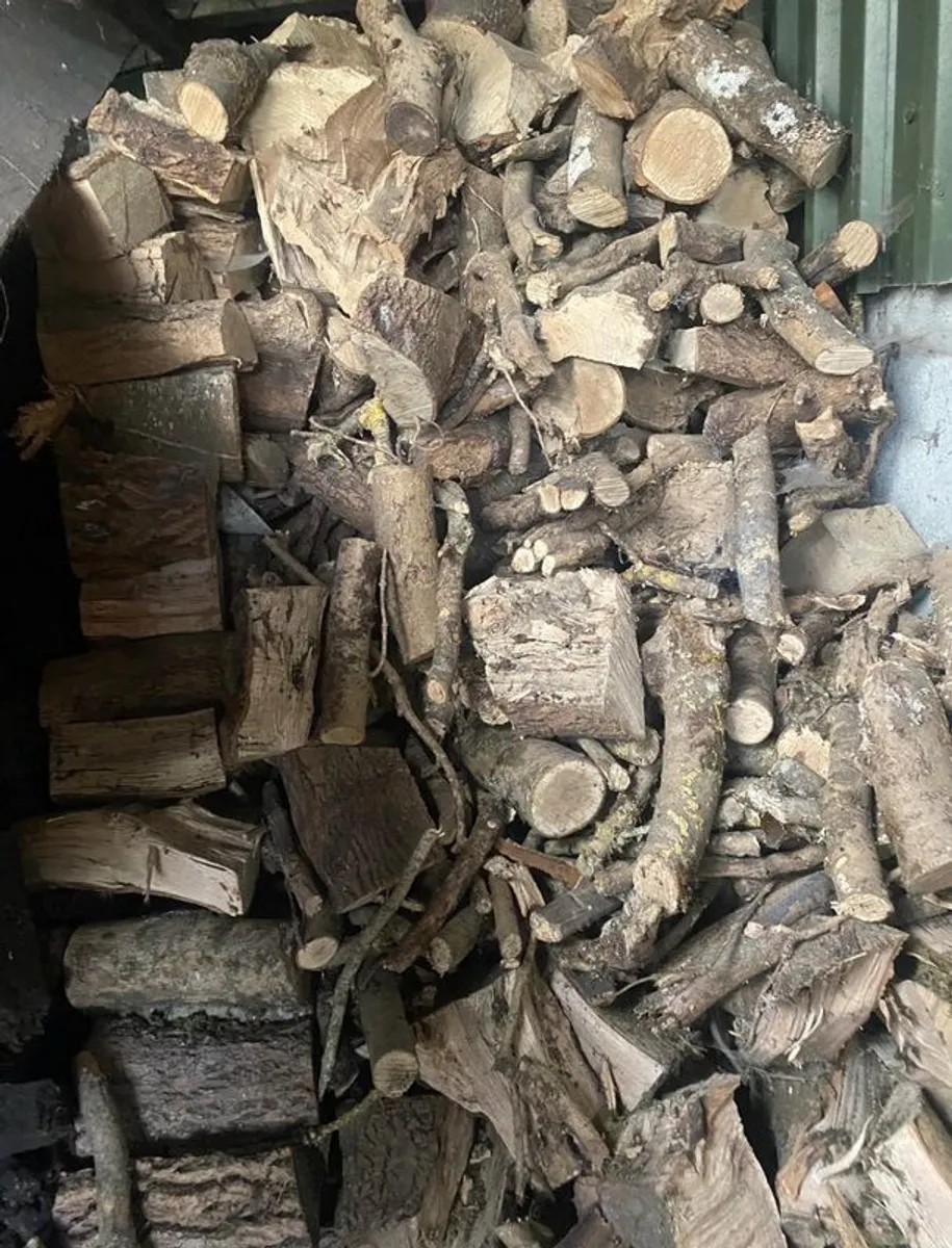 Firewood/timber for sale - Image 2