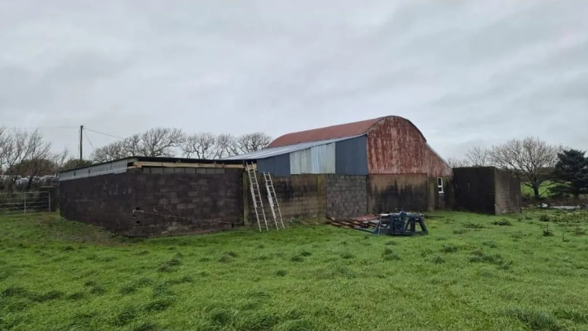 Farm Shed Repairs - Image 4