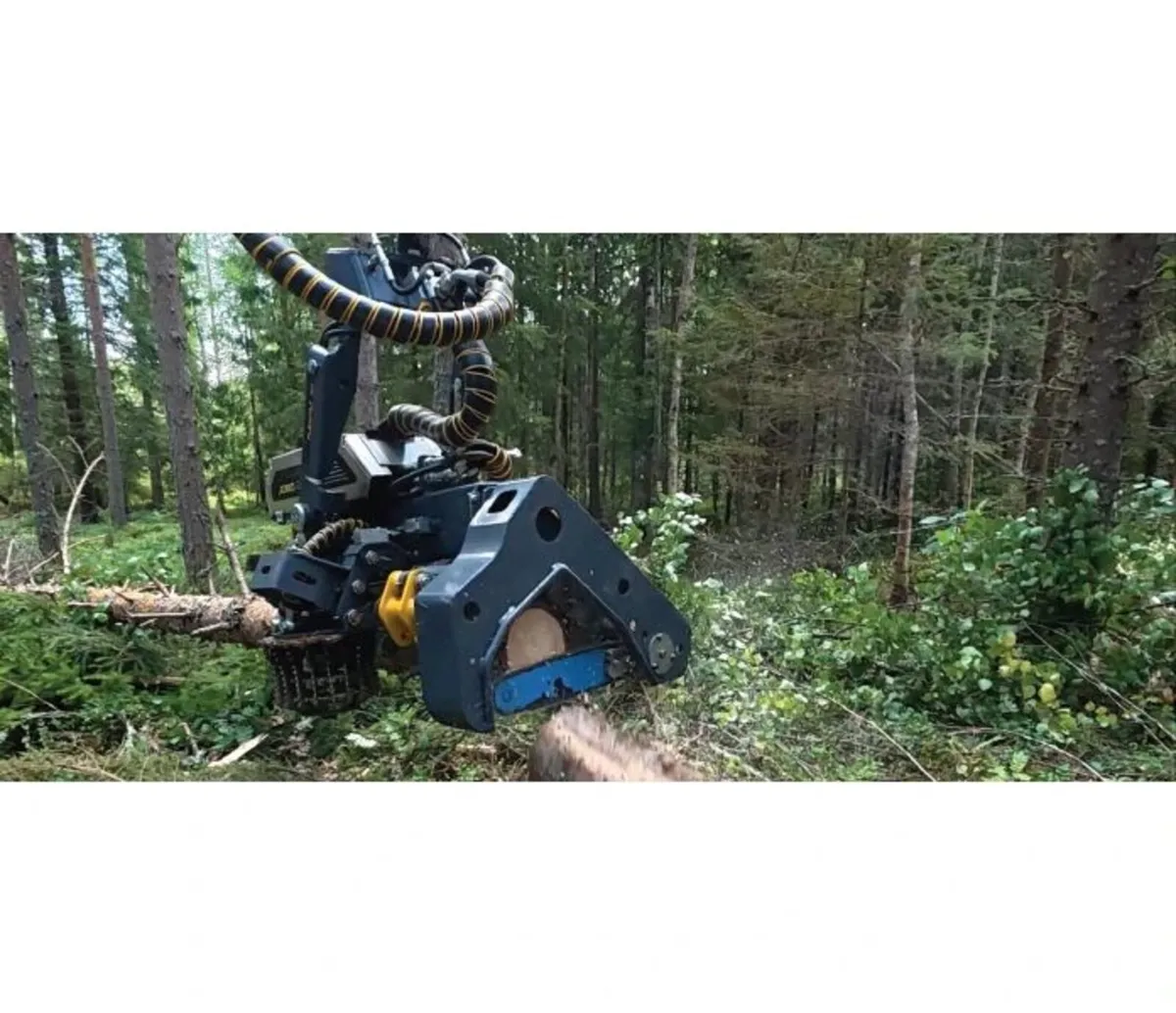 Timber Harvest with  JoBO Stroke heads - Image 1