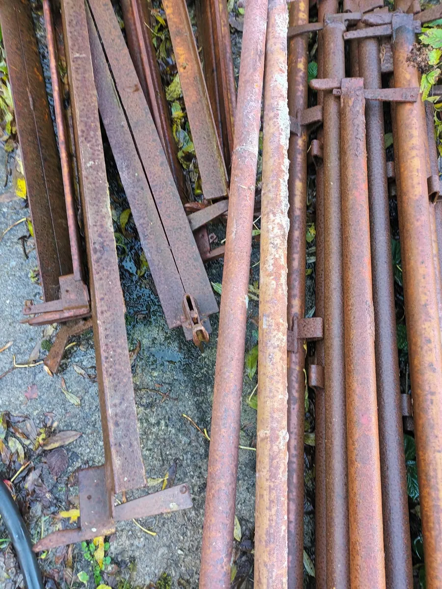 Scaffolding - Image 3