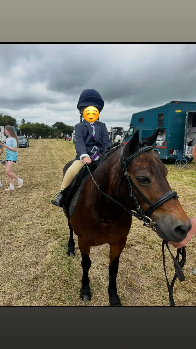 Lead Rein Pony - Image 2