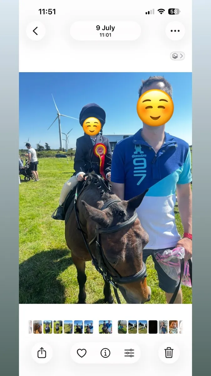 Lead Rein Pony - Image 4