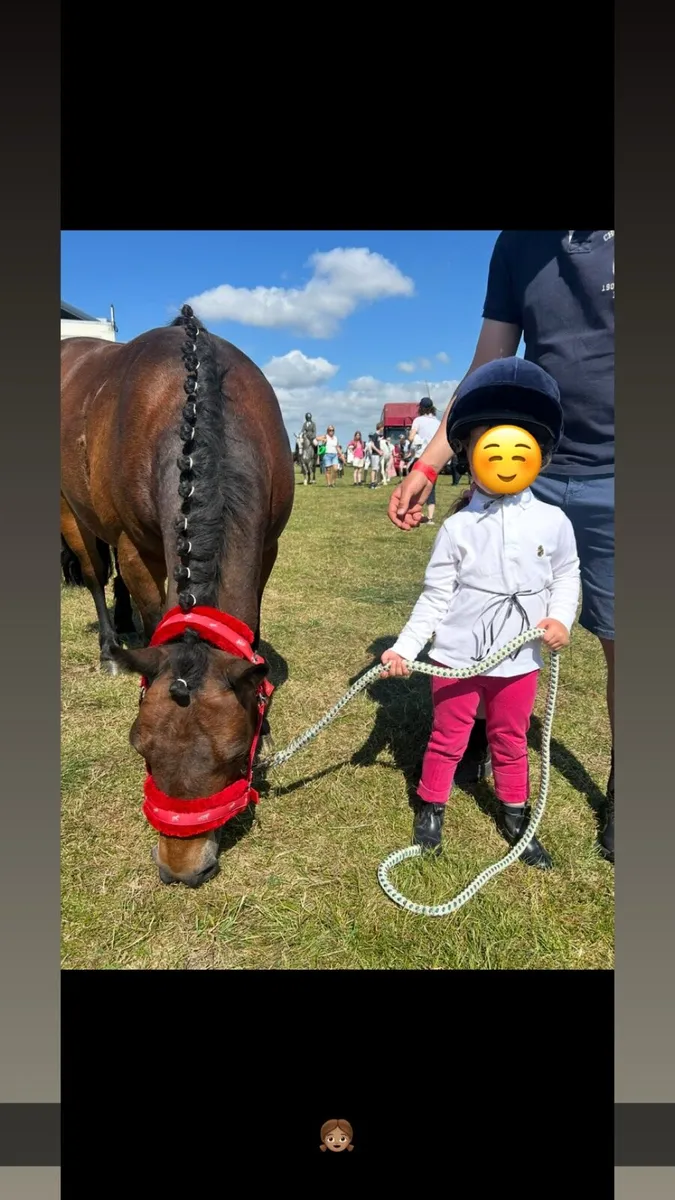 Lead Rein Pony - Image 1